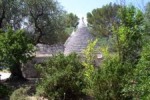 7gtrullo.jpg